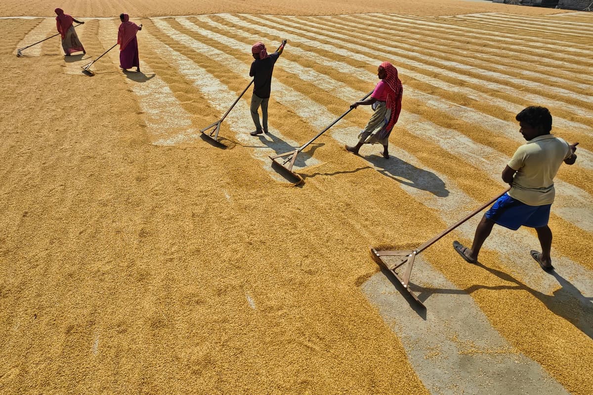 Women's cooperation and empowerment